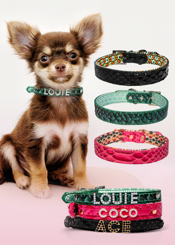 Dog Collar - Customizable, Stylish, Durable & Comfortable Pet Accessory