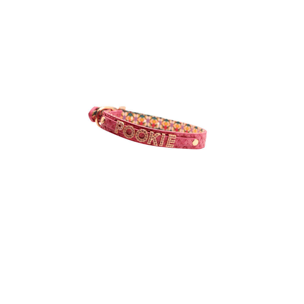 Dog Collar - Customizable, Stylish, Durable & Comfortable Pet Accessory