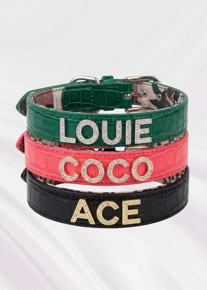Dog Collars